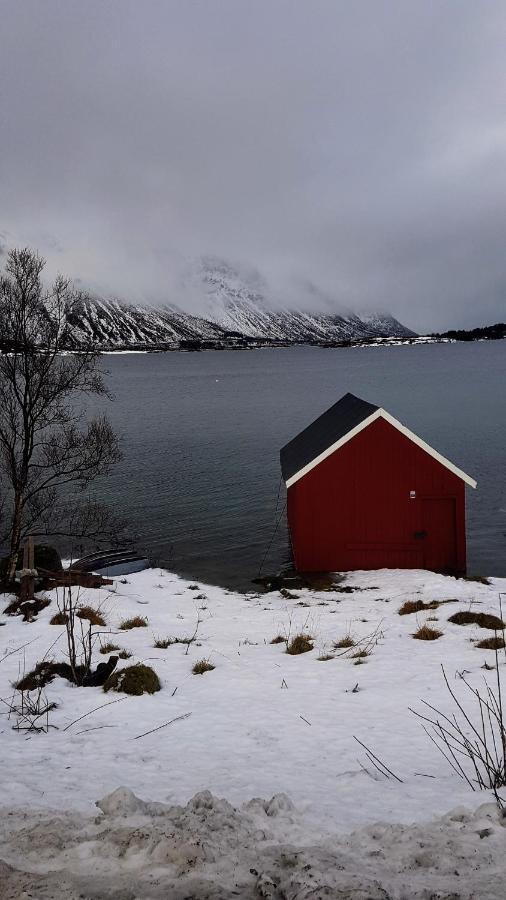 Rabben Feriested Lyngværet エクステリア 写真